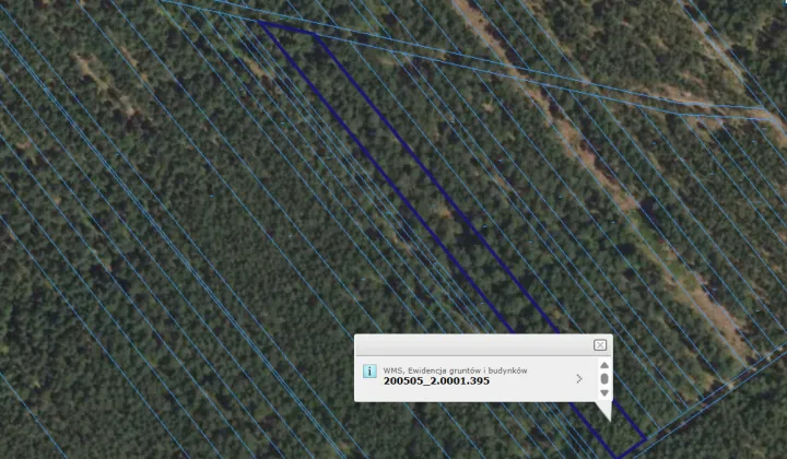 Działka leśna Czechy Orlańskie