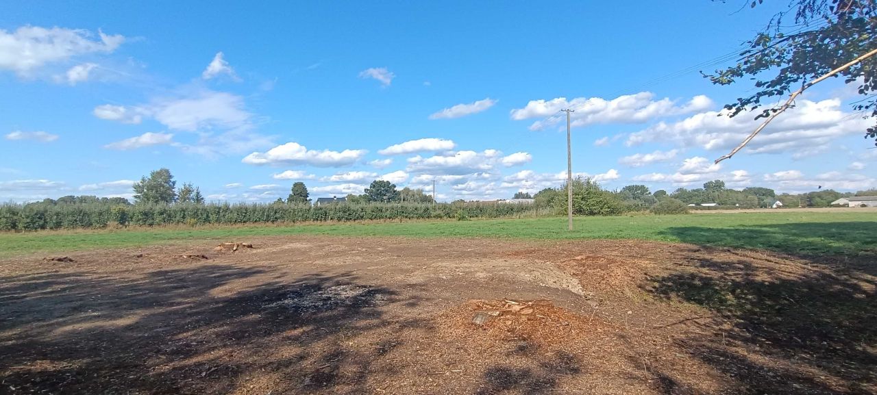 Działka rolna Przewóz Tarnowski. Zdjęcie 2