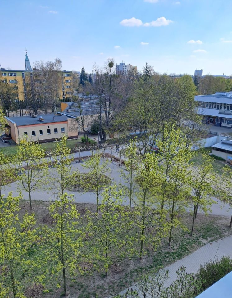 Mieszkanie 2-pokojowe Poznań Grunwald, ul. Ognik. Zdjęcie 2