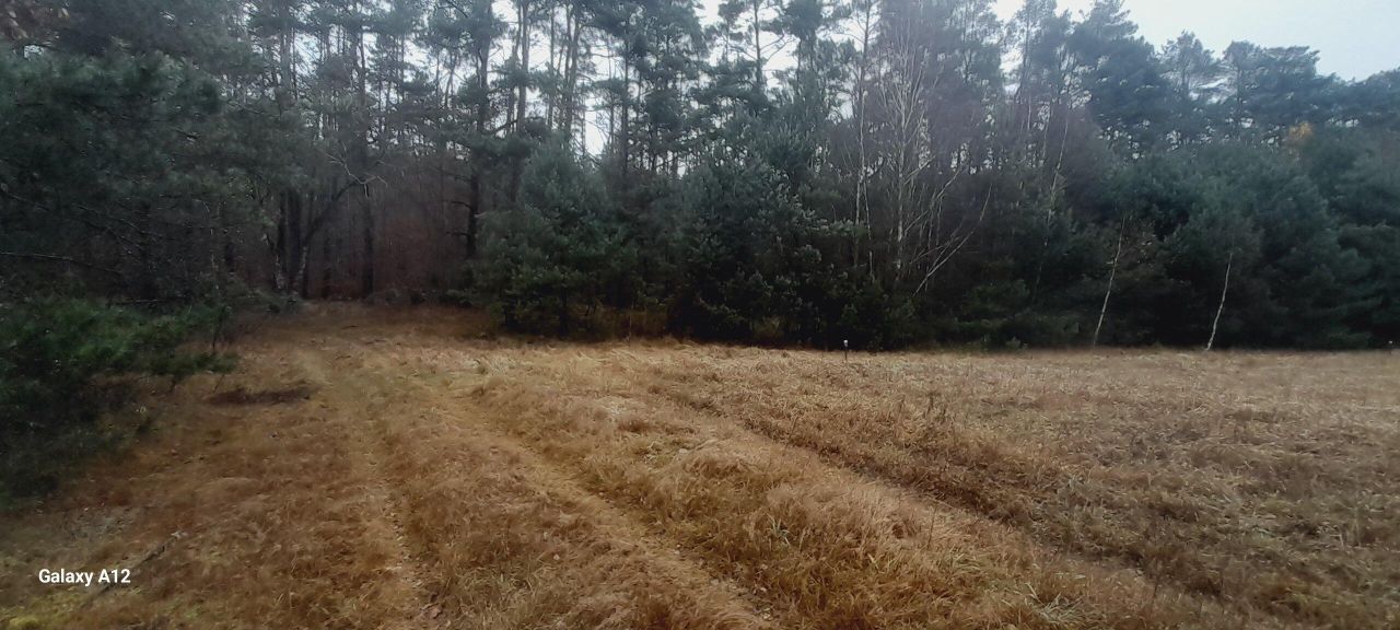Działka rolna Martew. Zdjęcie 6