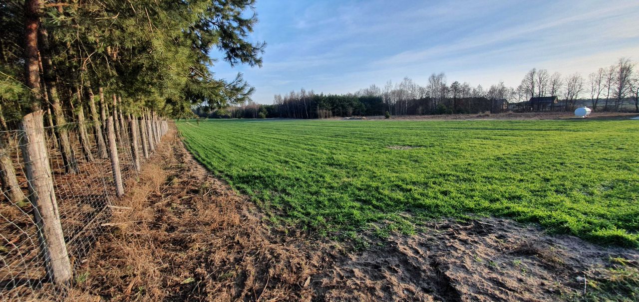 Działka rolno-budowlana Osiek Zamoście. Zdjęcie 2