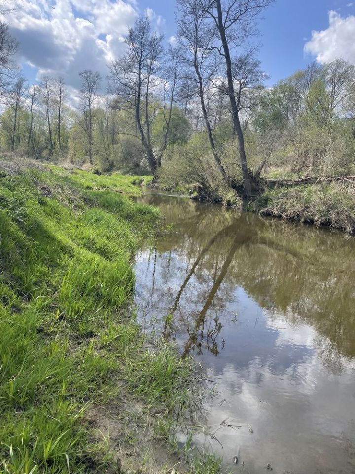 Działka rekreacyjna Miszewo B. Zdjęcie 5