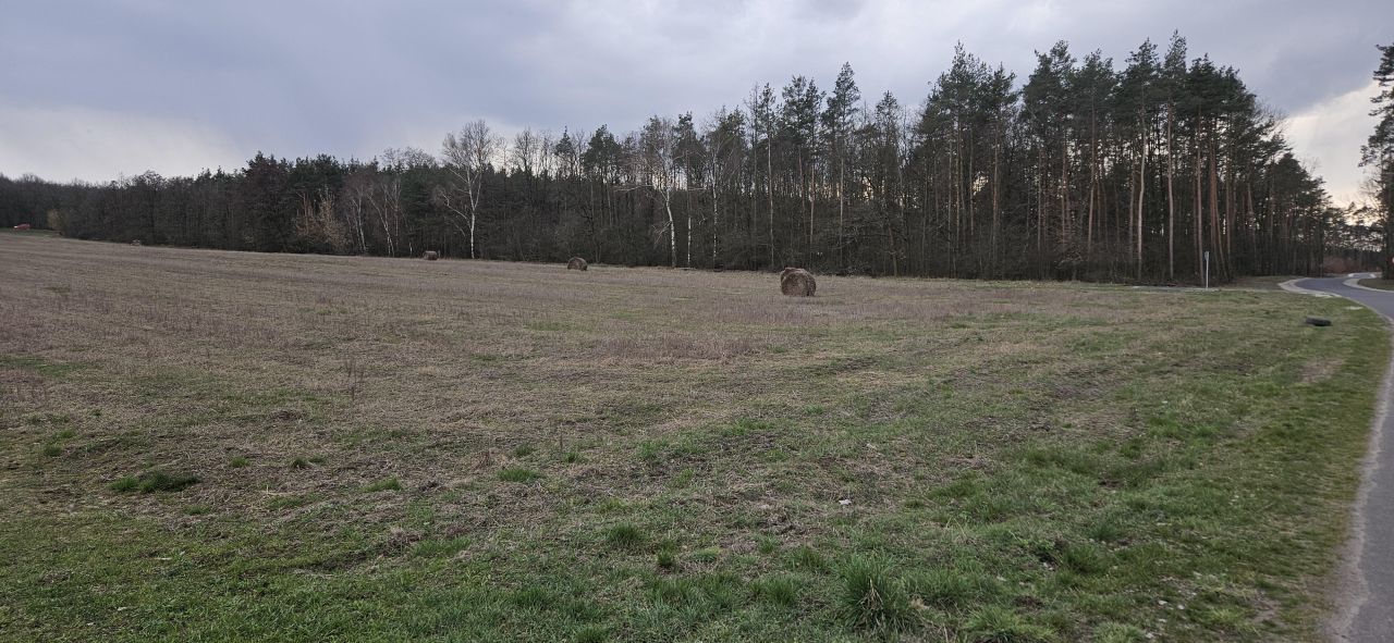 Działka budowlana Kościelec, ul. Różana. Zdjęcie 4