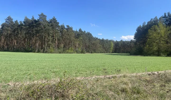 Działka budowlana Jagodziniec