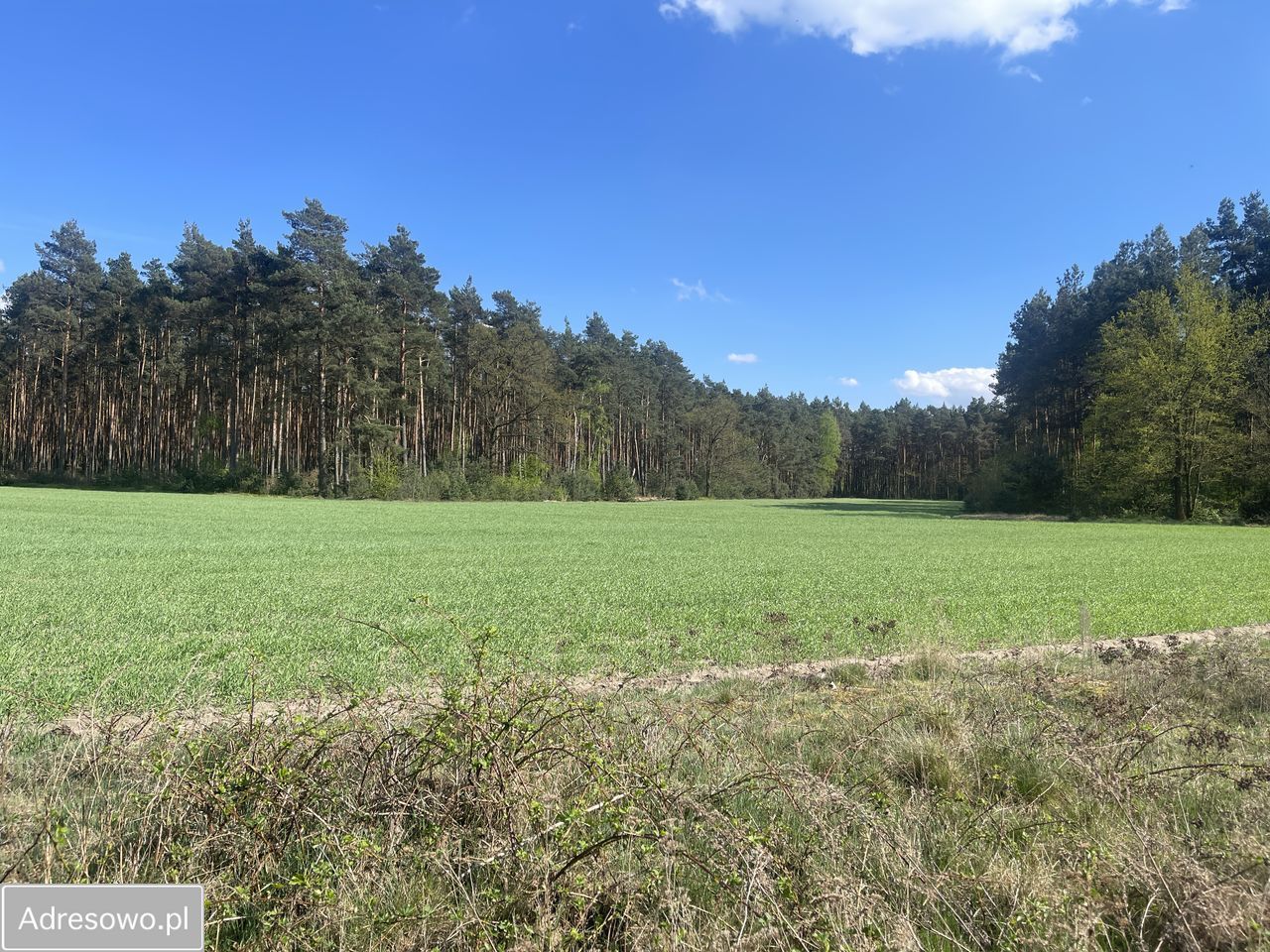 Działka budowlana Jagodziniec