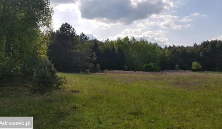 Działka siedliskowa Borowy Młyn