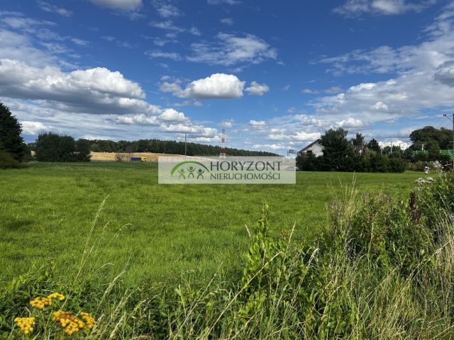 Działka Otomino. Zdjęcie 1