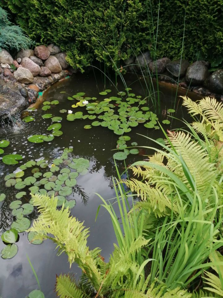 Działka rod Bełchatów. Zdjęcie 3