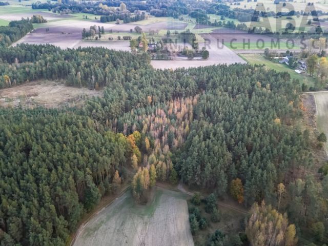 Działka rolna Myślibórz. Zdjęcie 6