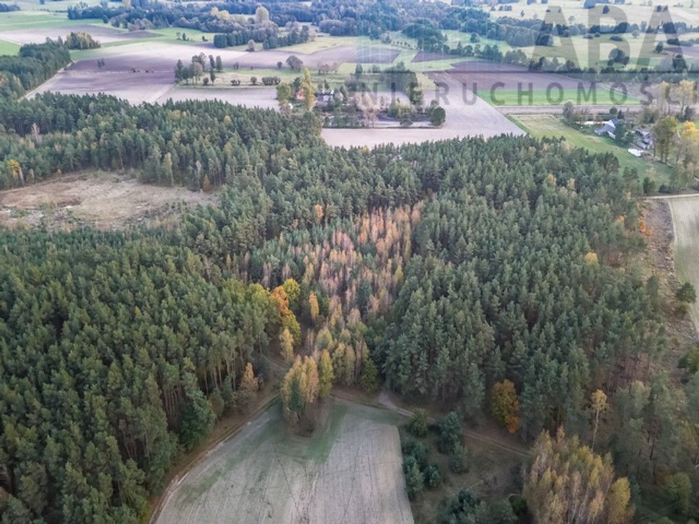 Działka rolna Myślibórz. Zdjęcie 6