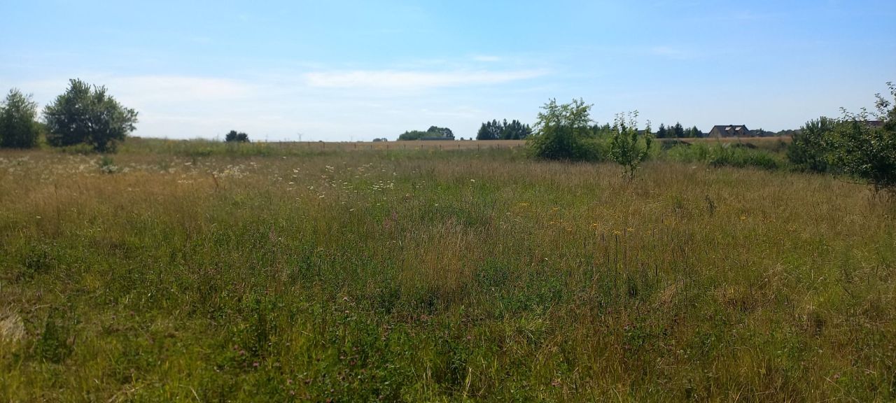 Działka rolno-budowlana Gąski, ul. Błękitna. Zdjęcie 8