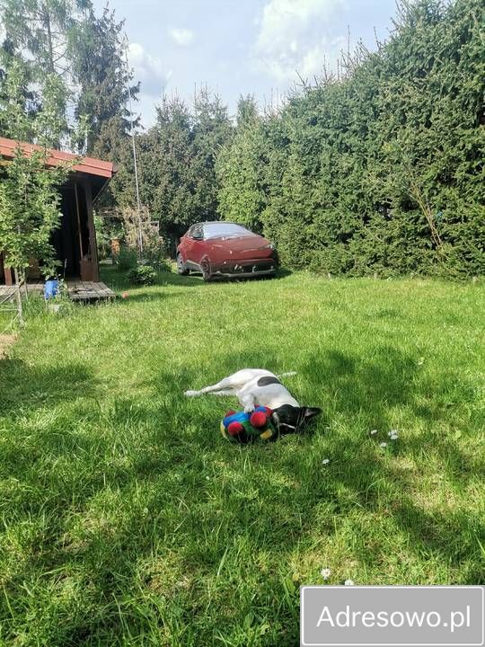 Działka rod Kamieńczyk, ul. Kukawska. Zdjęcie 10