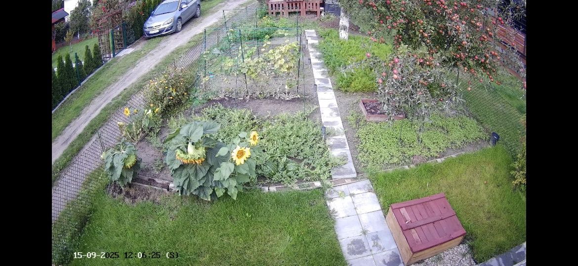 Działka rod Gniezno. Zdjęcie 6