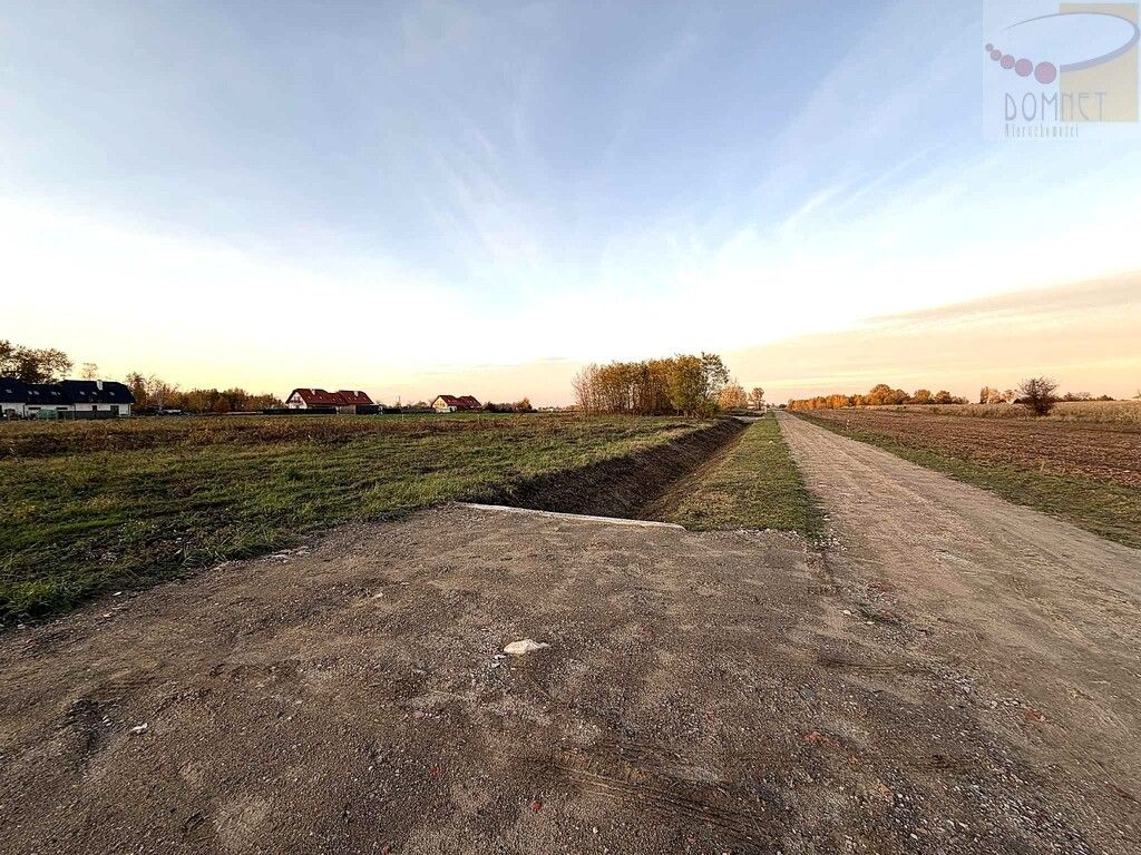 Działka rolna Domaniew, ul. Warsa i Sawy. Zdjęcie 2