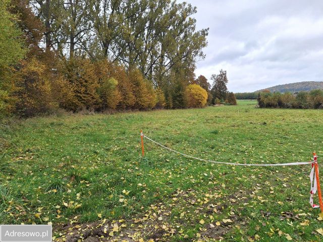Działka rolna Siedlęcin, ul. Kościelna. Zdjęcie 1