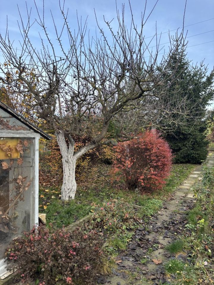 Działka rod Gniezno Winiary. Zdjęcie 5