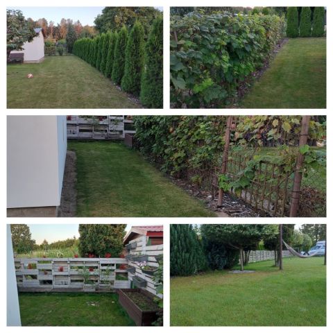 Działka rod Zielona Góra Jędrzychów. Zdjęcie 1