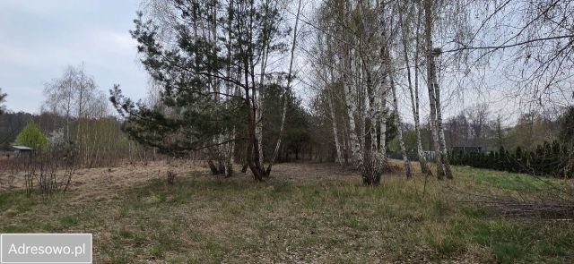 Działka budowlana Adamów-Wieś, ul. Brzozokalska. Zdjęcie 1