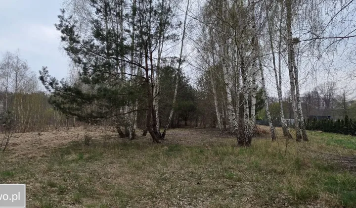 Działka budowlana Adamów-Wieś, ul. Brzozokalska