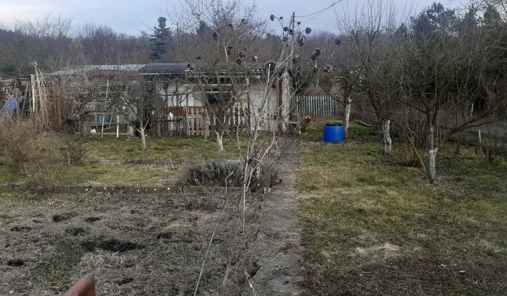 Działka rekreacyjna Opole, ul. Częstochowska