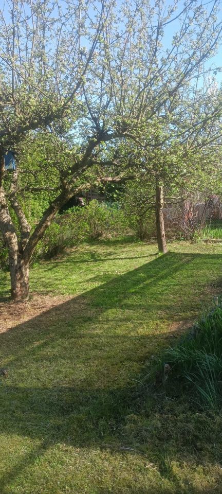 Działka rod Jastrzębie-Zdrój. Zdjęcie 4