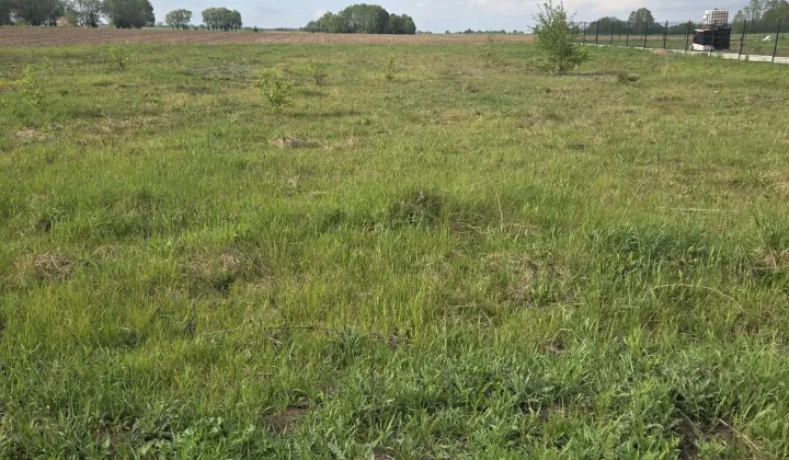 Działka budowlana Sarbiewo
