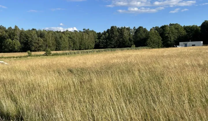 Działka budowlana Tworóg Mały