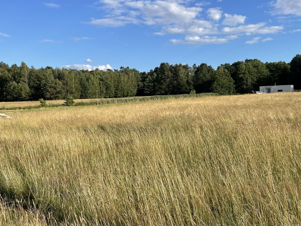 Działka budowlana Tworóg Mały. Zdjęcie 1