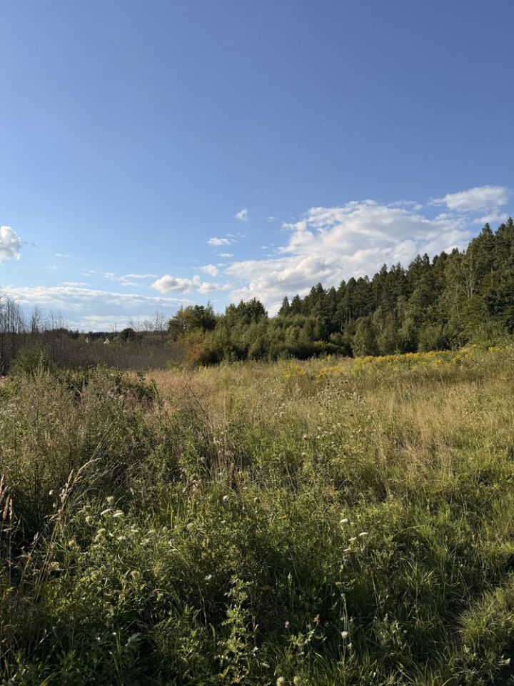 Działka budowlana Pierszczewko. Zdjęcie 3