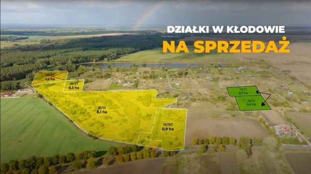 Działka rolna Kłodowo. Zdjęcie 1
