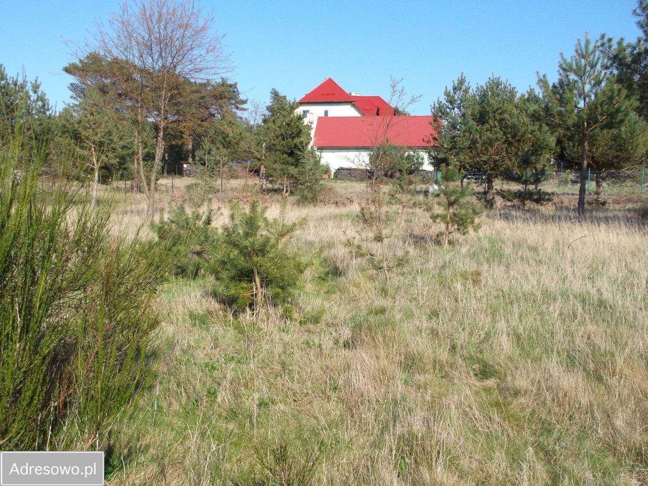 Działka budowlana Rozewie, ul. Jastrzębia. Zdjęcie 5