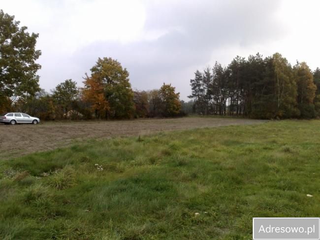 Działka siedliskowa Gutowo