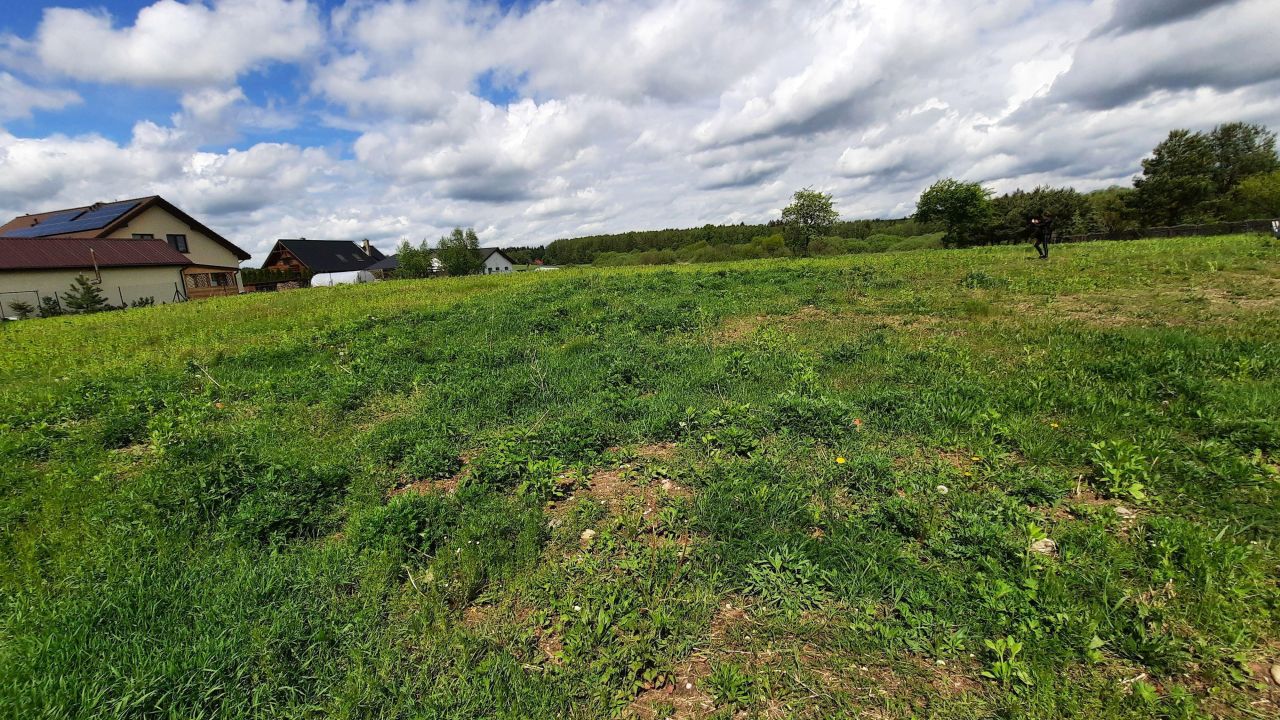 Działka rolno-budowlana Złotoria. Zdjęcie 4