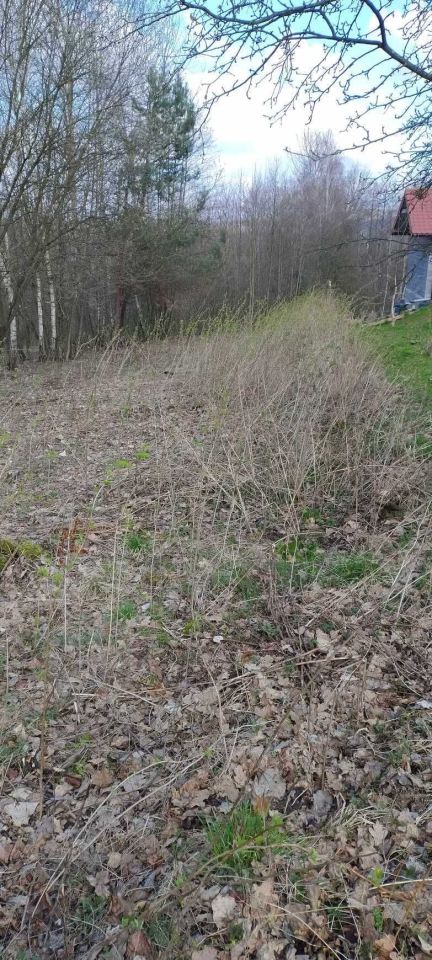 Działka Stary Wiśnicz. Zdjęcie 4