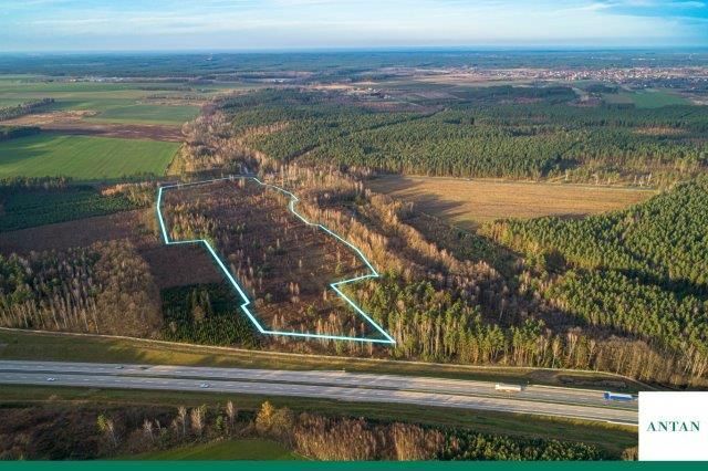 Działka inwestycyjna Strzelno, Zgorzelecka. Zdjęcie 6