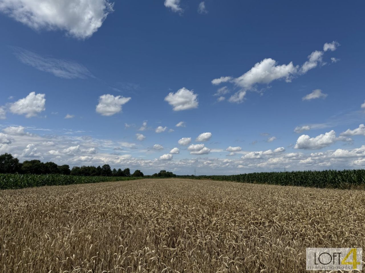 Działka budowlana Borzęcin. Zdjęcie 9