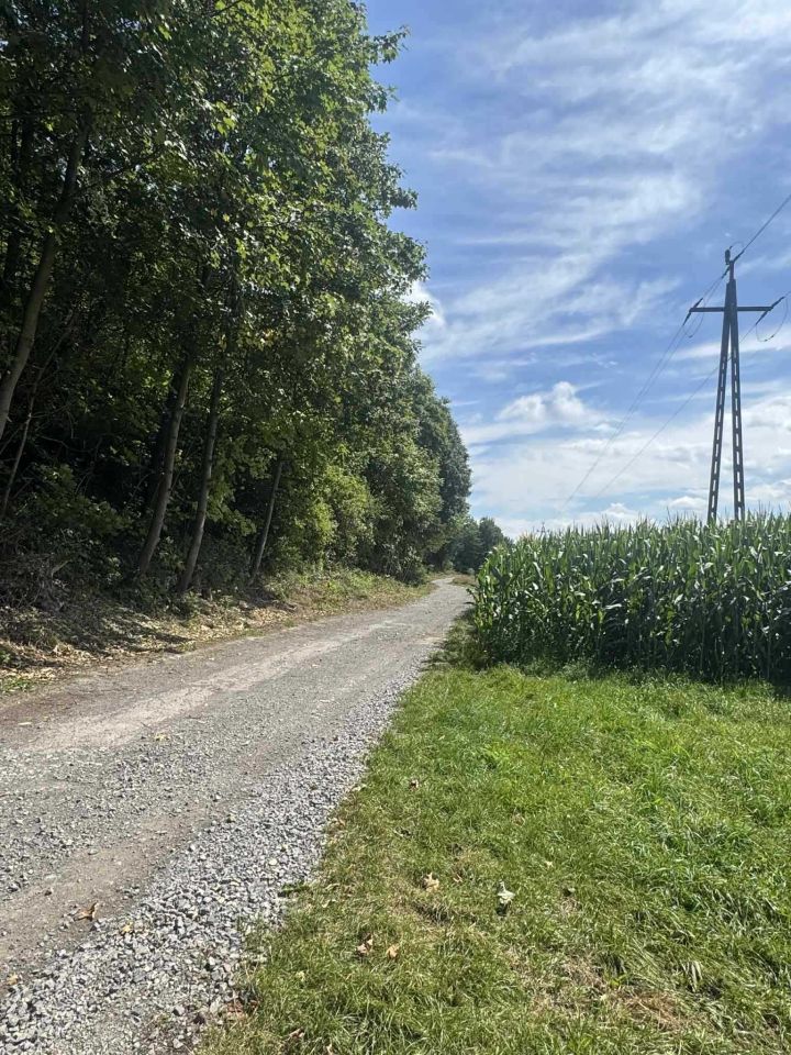 Działka rolna Michałowice. Zdjęcie 6