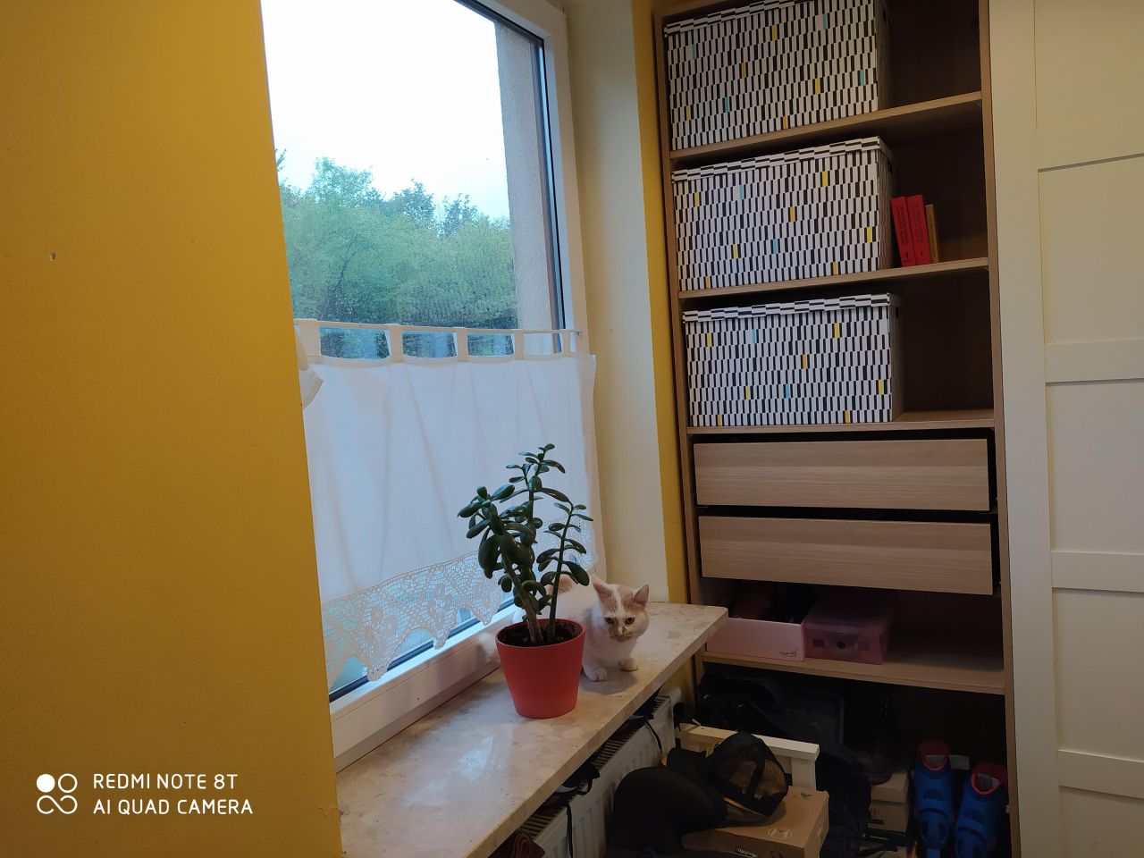 Mieszkanie 5-pokojowe Nowa Iwiczna, ul. Aleja Zgody. Zdjęcie 3