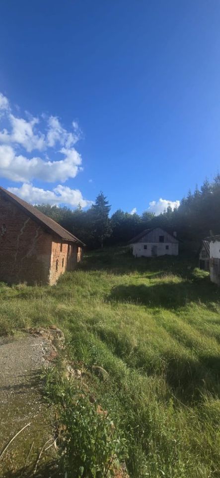 Działka siedliskowa Różaniec. Zdjęcie 3