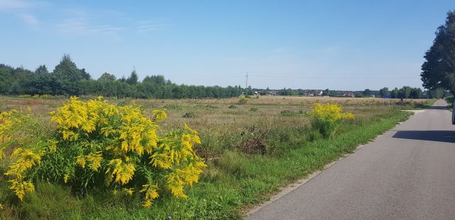 Działka budowlana Pogorzałe Ługi. Zdjęcie 8