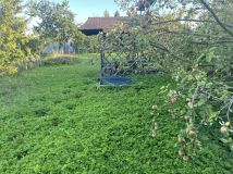 Działka rod Gliwice Bojków. Zdjęcie 2