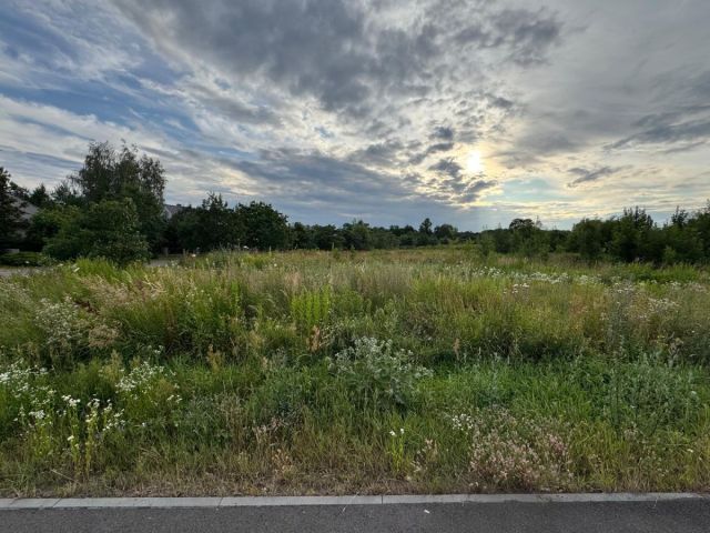 Działka budowlana Radomierzyce. Zdjęcie 6