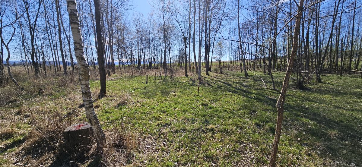 Działka budowlana Stary Wielisław. Zdjęcie 3