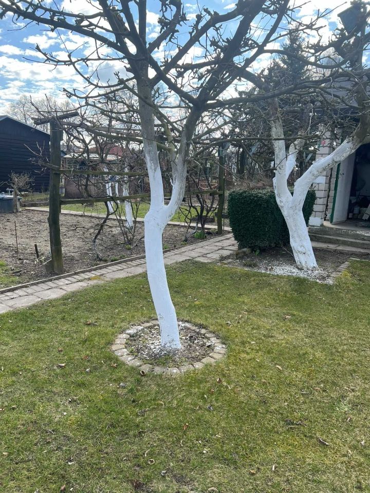 Działka rod Gorzów Wielkopolski. Zdjęcie 6