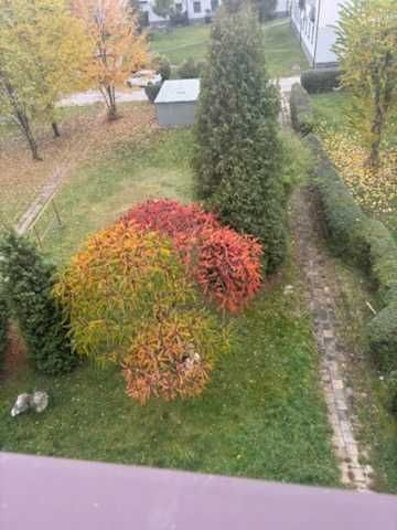 Mieszkanie 1-pokojowe Myszków. Zdjęcie 9