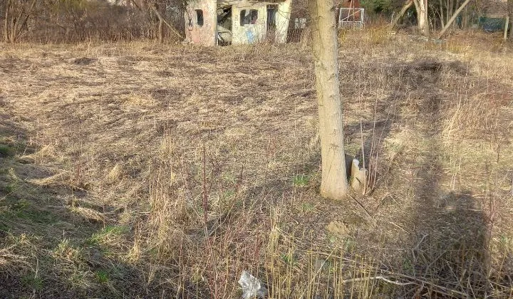 Działka rod Czeladź Piaski, ul. Stefana Batorego