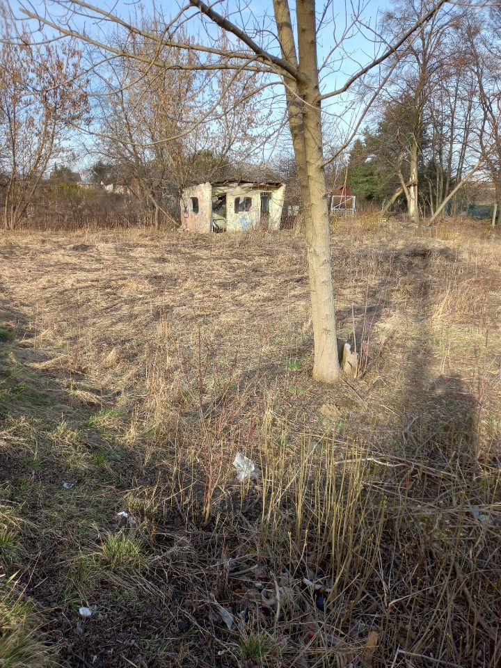 Działka rod Czeladź Piaski, ul. Stefana Batorego