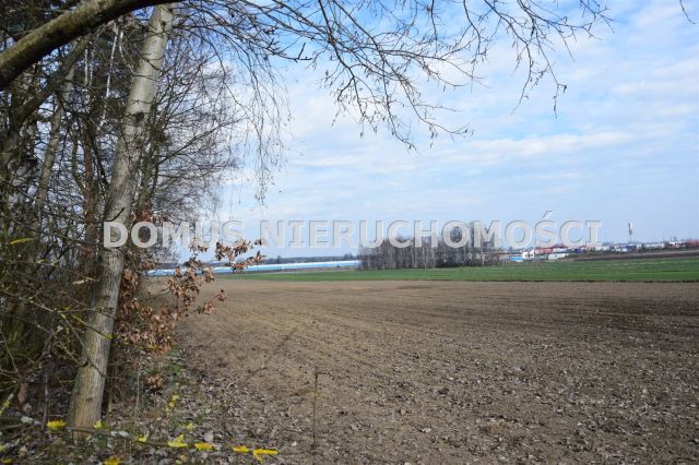 Działka rolno-budowlana Nowostawy Dolne. Zdjęcie 1