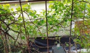 Działka rod Jastrzębie-Zdrój