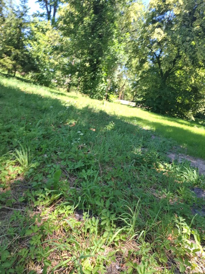 Działka Kalinowice, ul. Wiejska. Zdjęcie 5